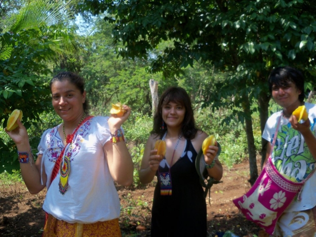 Frutas exoticas